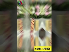 Ceres viskovita Schwamm